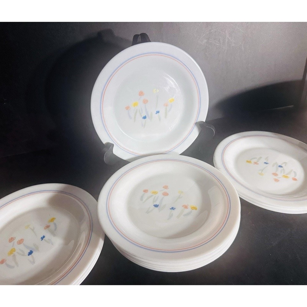 Vintage Arcopal France PASTORAL_ Salad Plates 7 1/4"